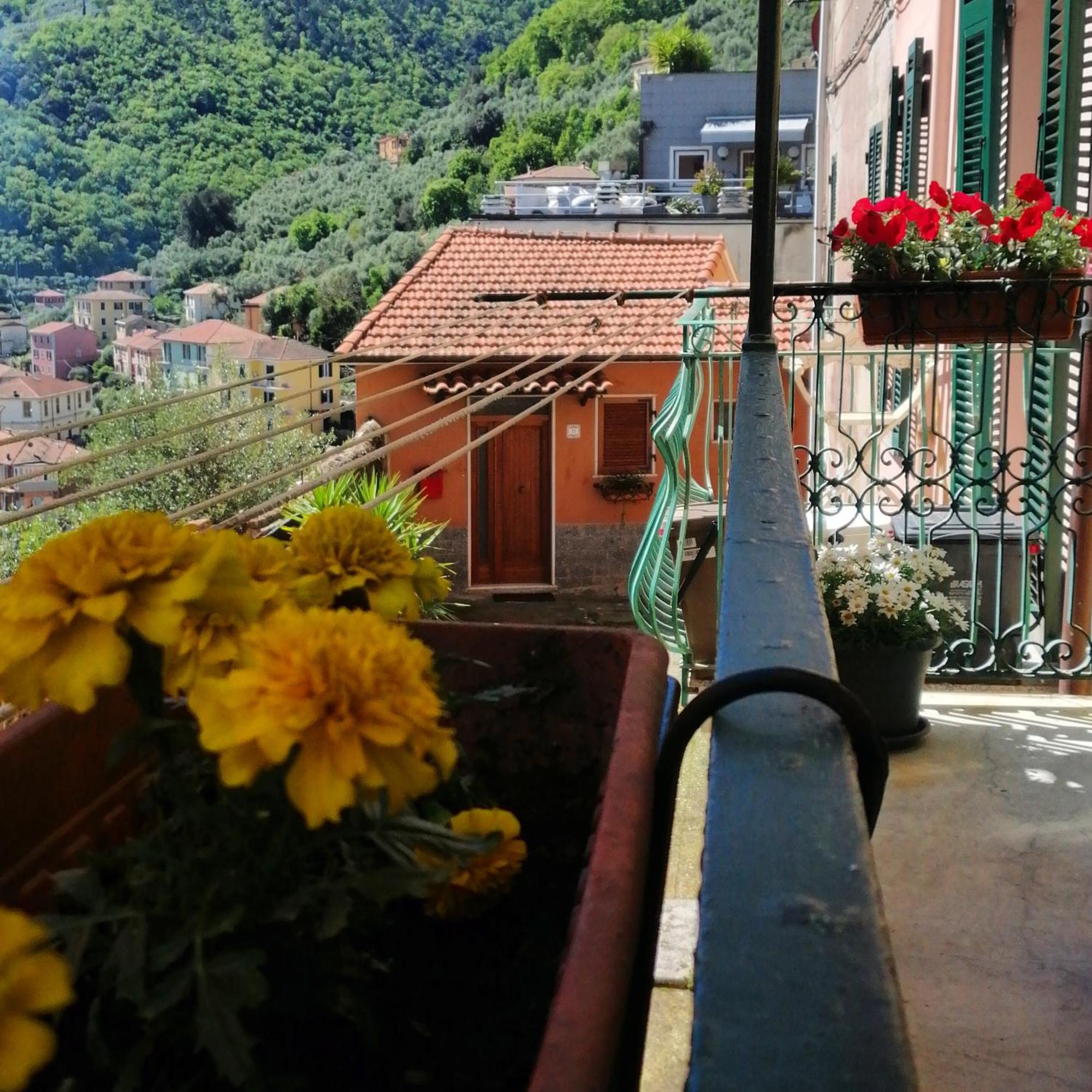 Apartment Domvs Flavia La Spezia