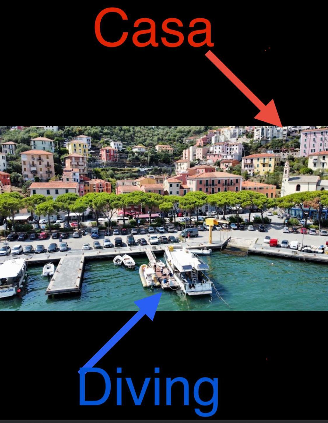 Domvs Flavia La Spezia